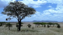 Tansania on luontomatkailijan paratiisi!