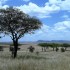 Tansania on luontomatkailijan paratiisi!