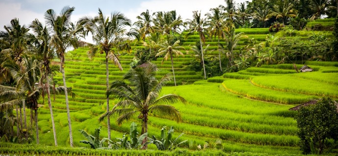 Paratiisisaari Bali